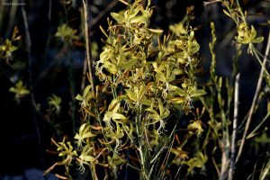 צילום: אוהד בנימיני